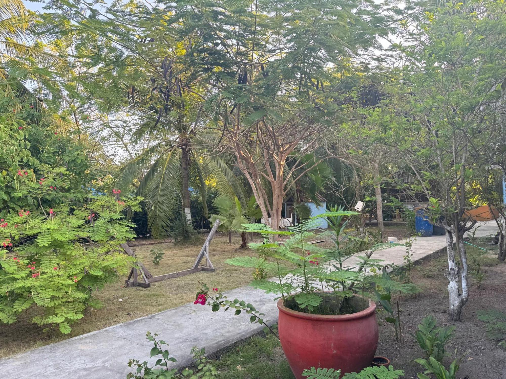 Casa Lolas House By Ctglifetravelers グランデ島 エクステリア 写真